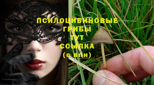 каннабис Елизово