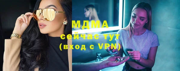 сатива Ельня