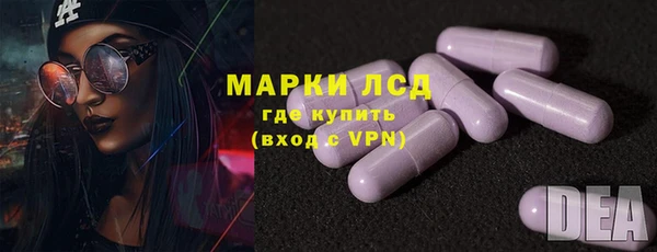 сатива Ельня