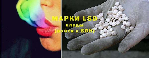 сатива Ельня
