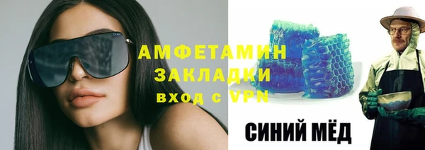 сатива Ельня