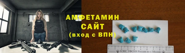 сатива Ельня