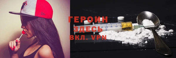 сатива Ельня