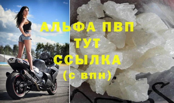 сатива Ельня