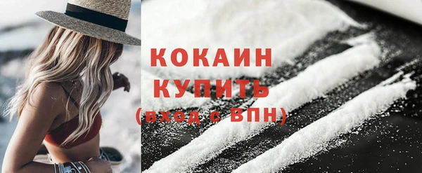сатива Ельня