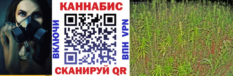 Каннабис индика Купить Козловка
